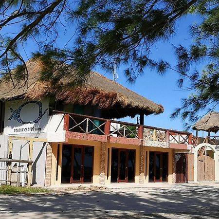 Xcalak Caribe Lodge Zewnętrze zdjęcie