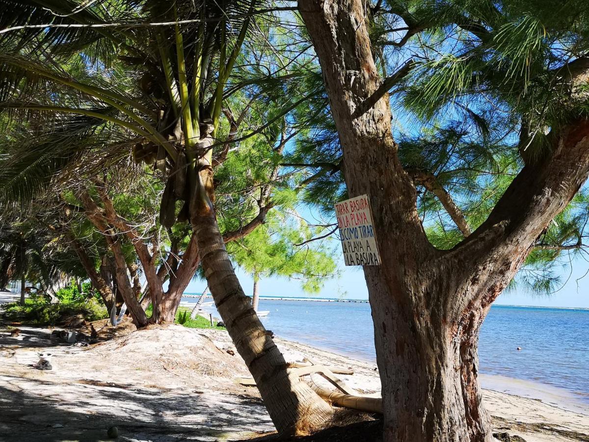 Xcalak Caribe Lodge Zewnętrze zdjęcie